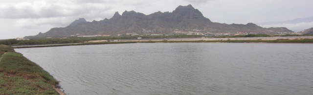 Imagen del contenido web