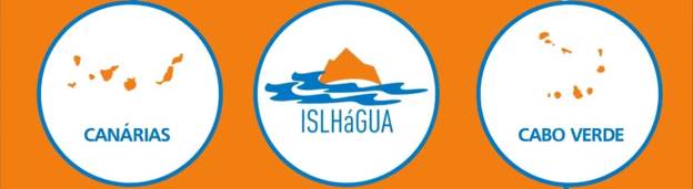 Imagen del contenido web
